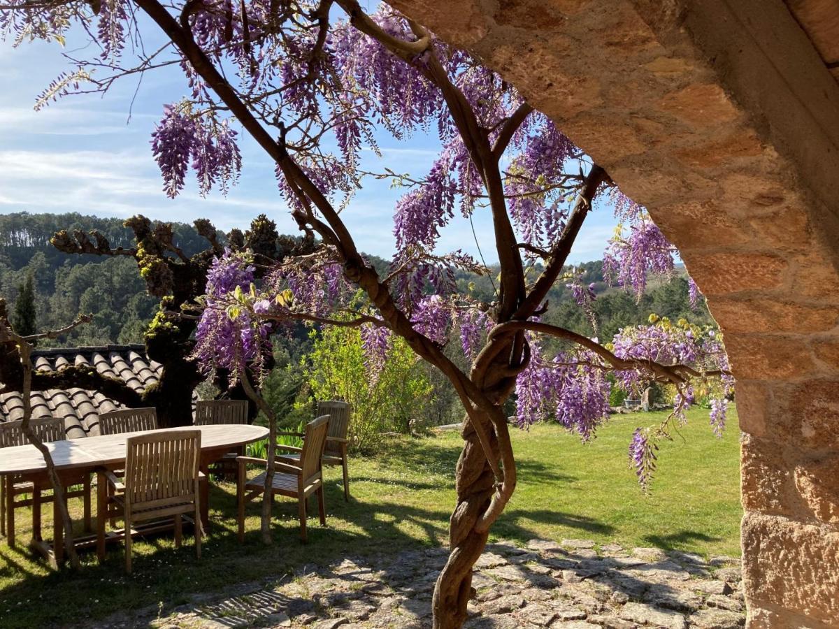 Mas De La Giralde - B&B Payzac  Dış mekan fotoğraf